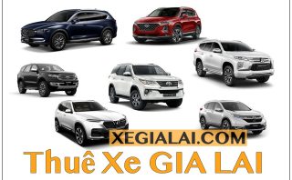 Thuê xe 7 chỗ Pleiku