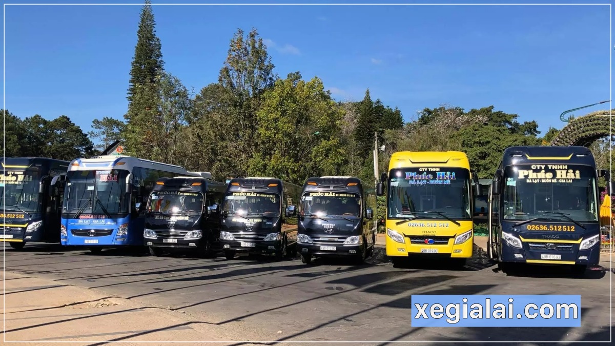 Xe Phúc Hải - xe Đà Lạt Gia Lai